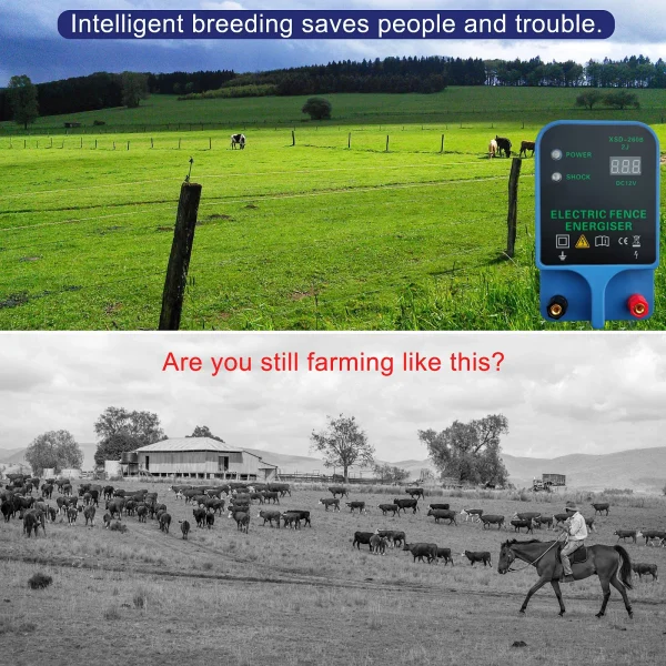 10KM Electric Fence Energizer for Livestock Ranch Fence Energizer High Voltage Controller for Sheep Cattle Horse Poultry Fence - Image 3
