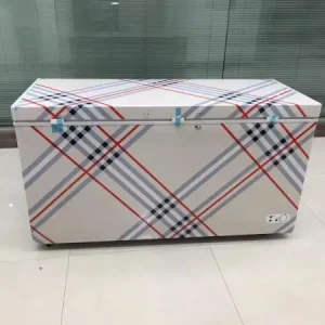 308 Liters DC12V-24V- Solar-powered Freezer